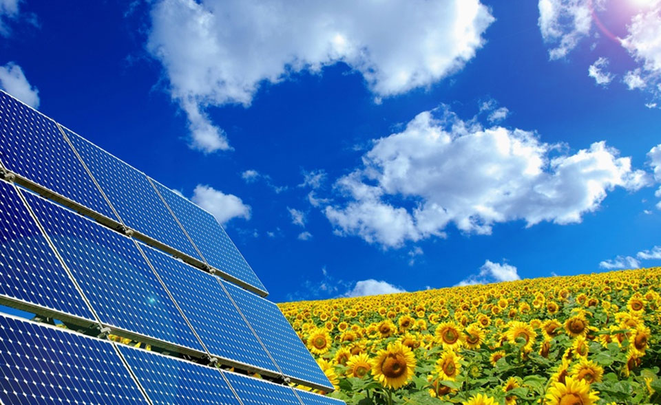 Scheer Bau Teningen: Energiesparhaus