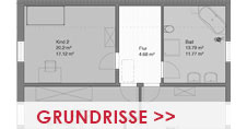 Grundriss Pultdachhaus