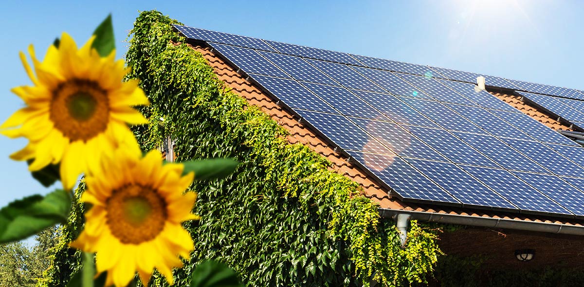 Scheer Bau Teningen: Energiesparhaus