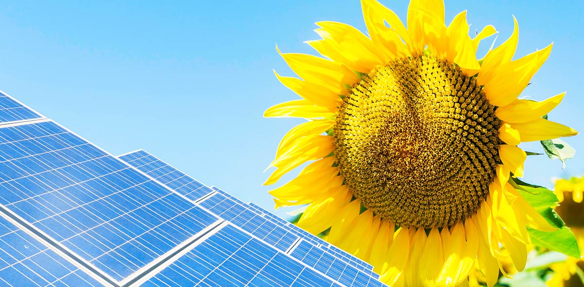 Scheer Bau Teningen: Energiesparhaus